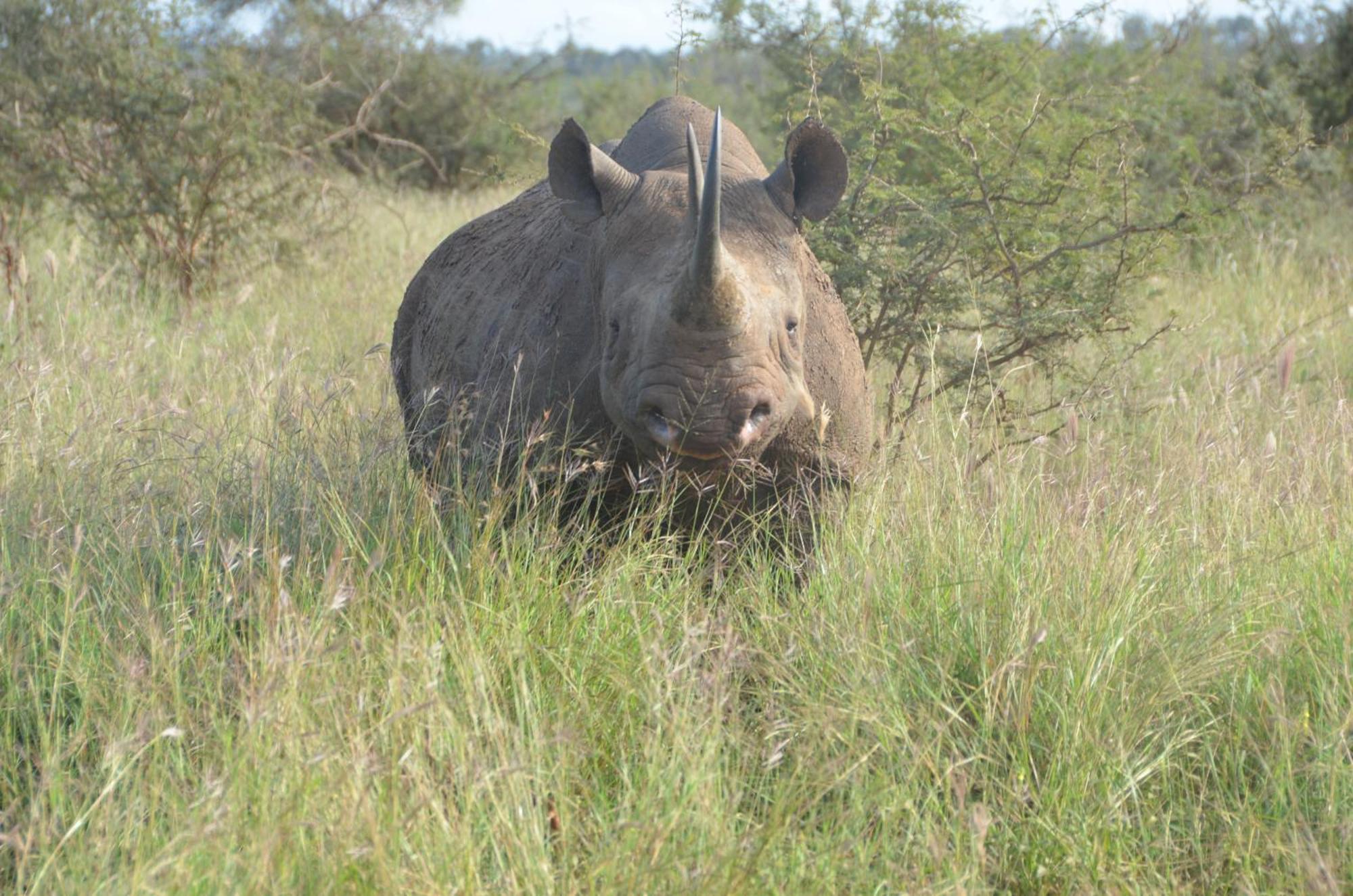 Kholiwe On Kruger Lodge & Safaris Marloth Park Exterior foto